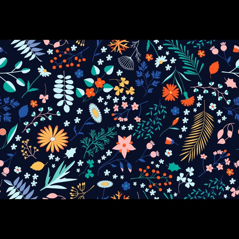 Meet your Posher, Caitlin